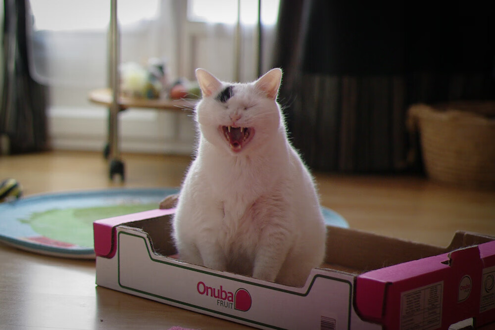 NBA球队阵容深度优化策略，nba队伍分析