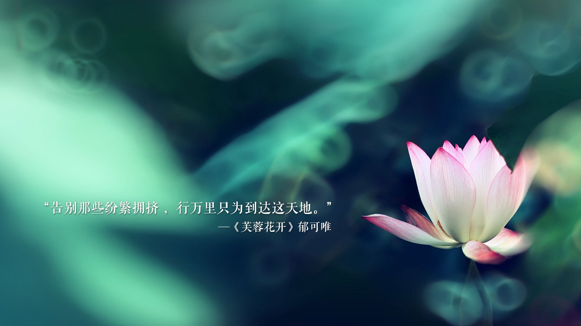 中国女篮加强防守细节，中国女篮加强防守细节的措施