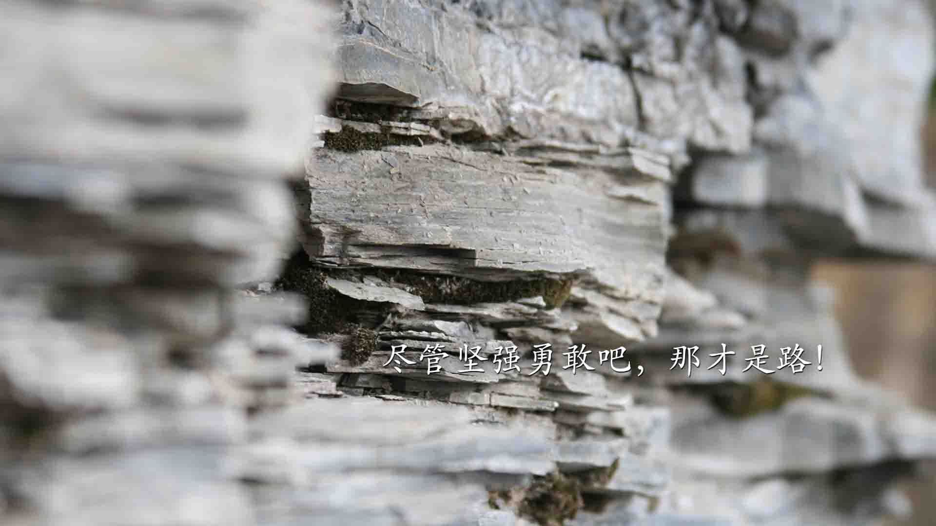 亚历克斯·格林伍德的出色防守让袋鼠队在橄榄球锦标赛中屡屡制胜