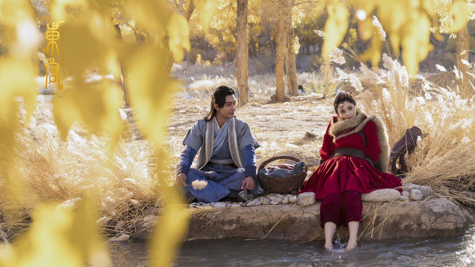 德甲攻守转换：节奏快如闪电！，德甲转会规则