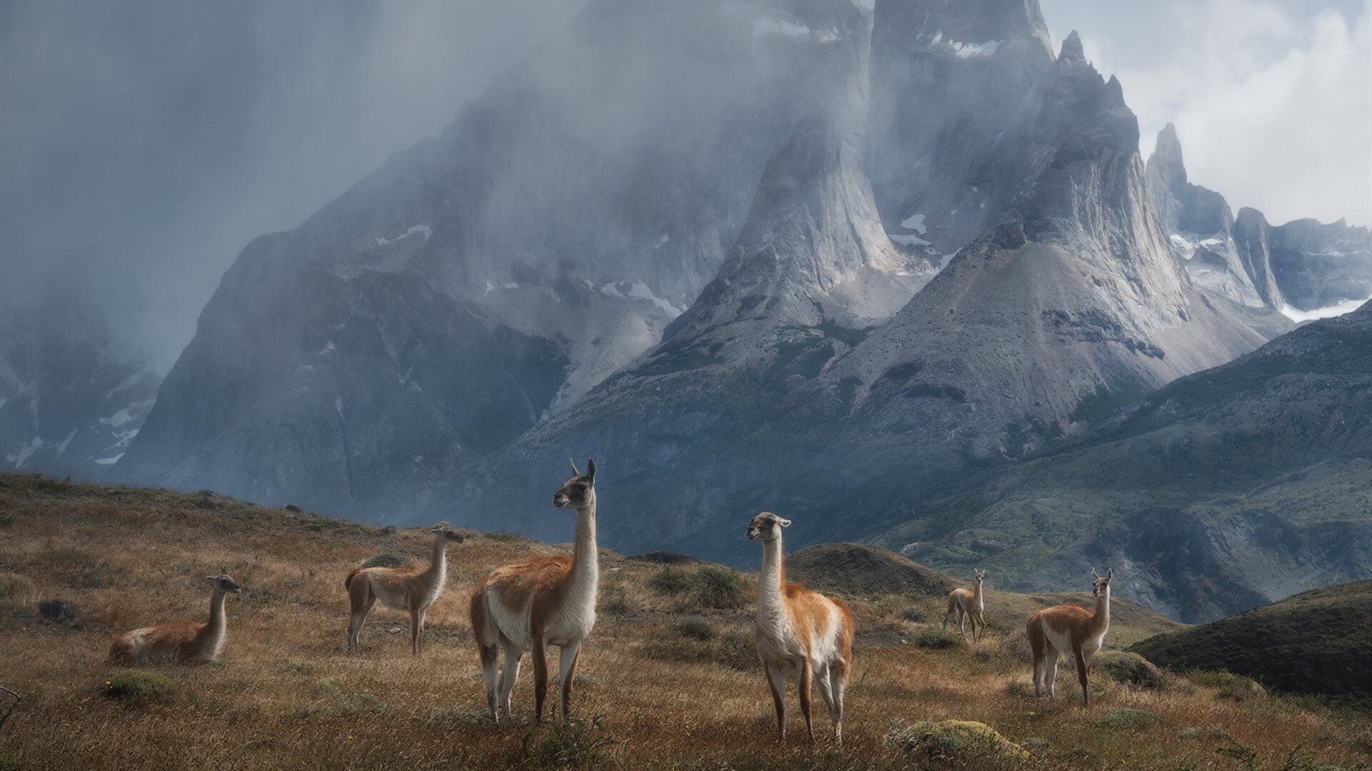 纳米比亚男篮在非洲预赛中提前晋级，展现新势力