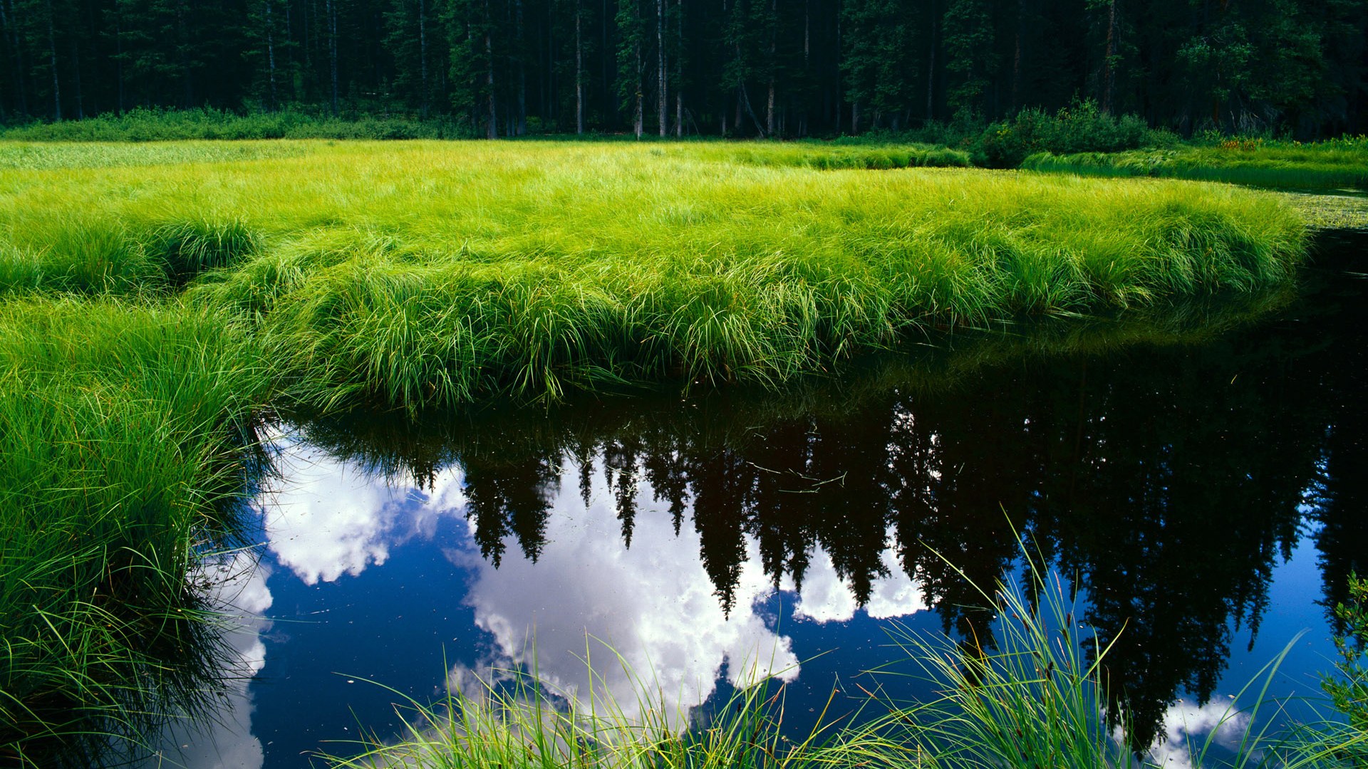 爱游戏体育app-英超最火爆：逆境奋战，造就奇迹！，英超最善于逆转的球队