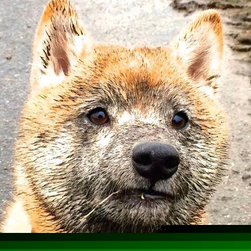 爱游戏在线登录入口-足坛天价合同再现,球员年薪刷新纪录,足坛球员年薪排行