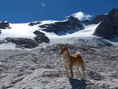 里根·史密斯用坚韧精神征服赛场，里克·史密斯